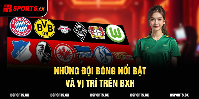 Những đội bóng nổi bật và vị trí trên BXH